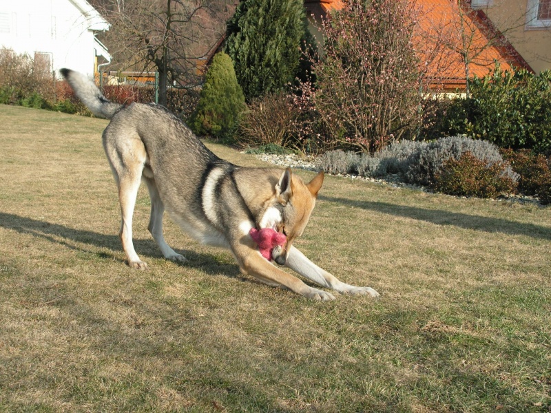 Klikněte pro zobrazení původního (velkého) obrázku