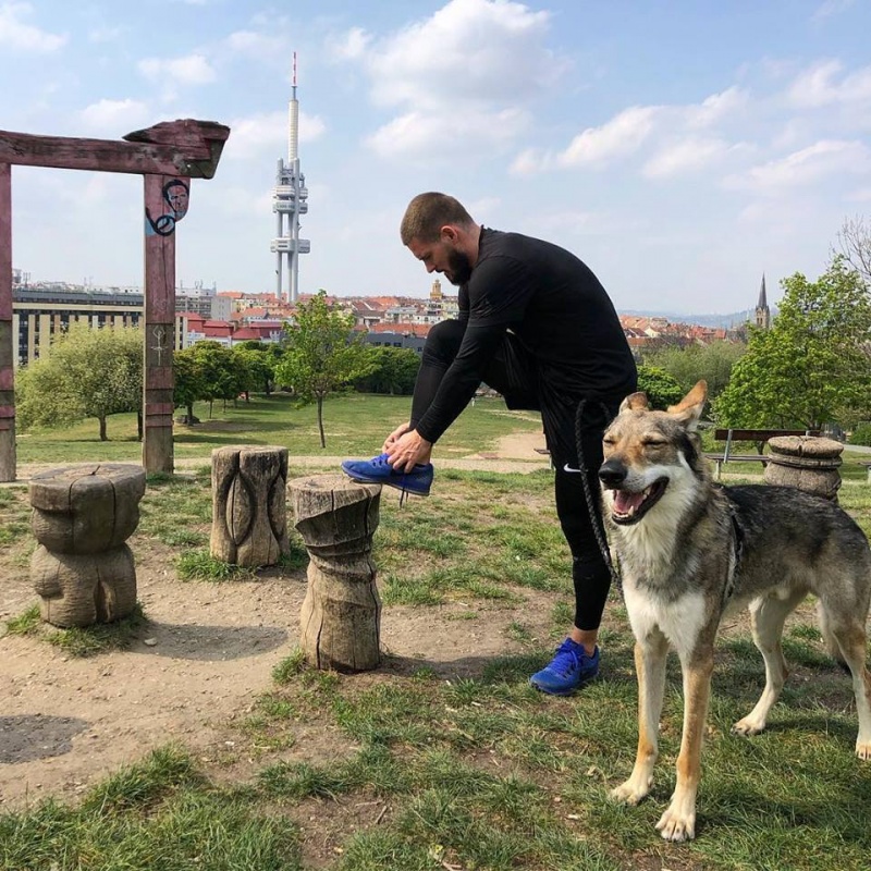 Klikněte pro zobrazení původního (velkého) obrázku