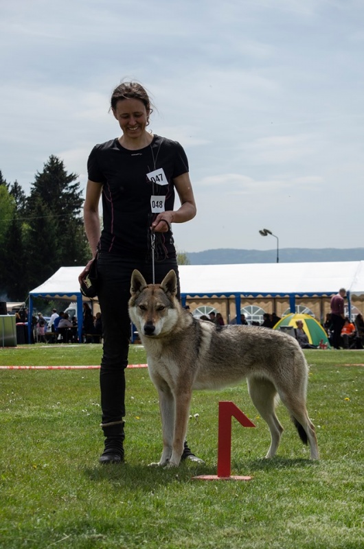 Klikněte pro zobrazení původního (velkého) obrázku