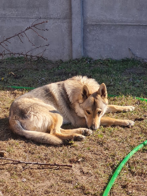 Klikněte pro zobrazení původního (velkého) obrázku