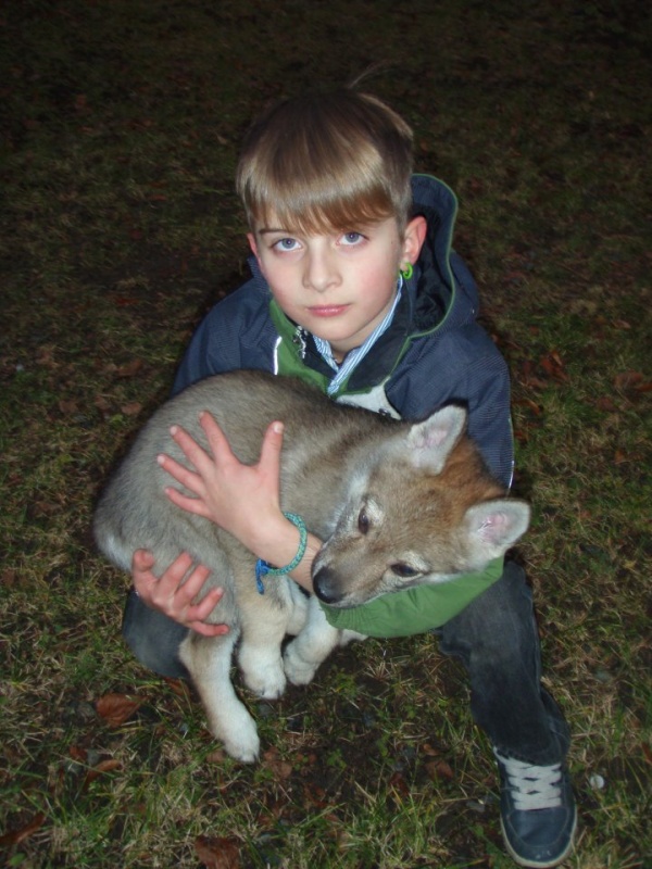 Klikněte pro zobrazení původního (velkého) obrázku